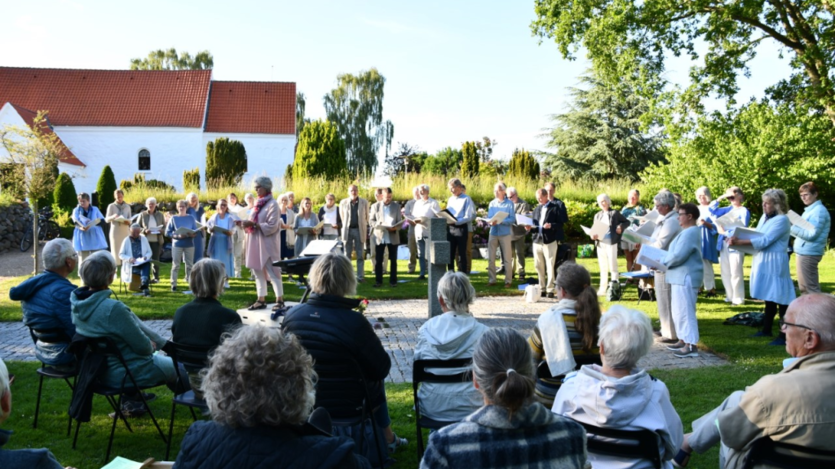 Sang i sommeraftenstunden