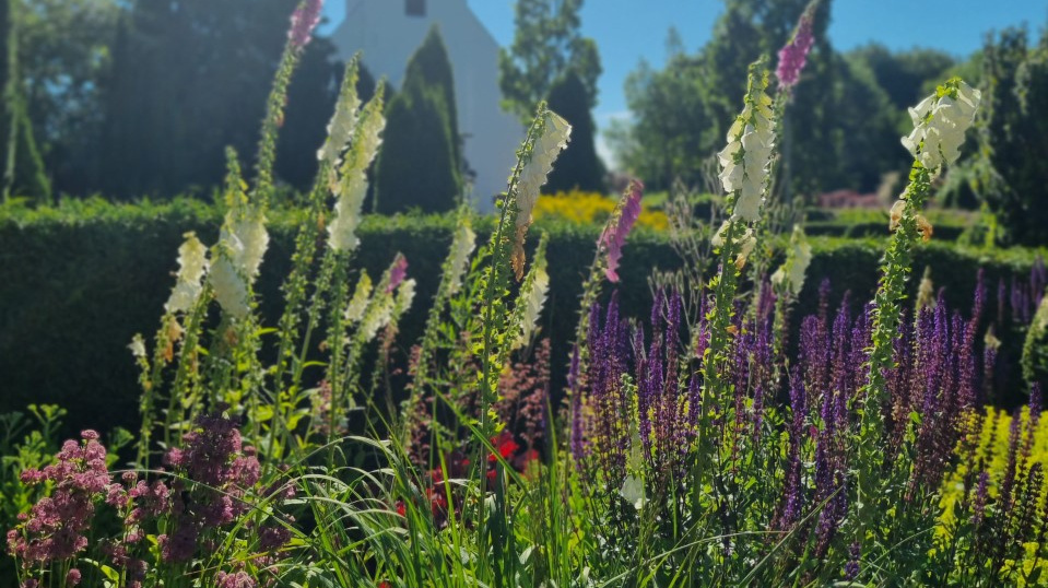 Blomster på Beder Kirkegård
